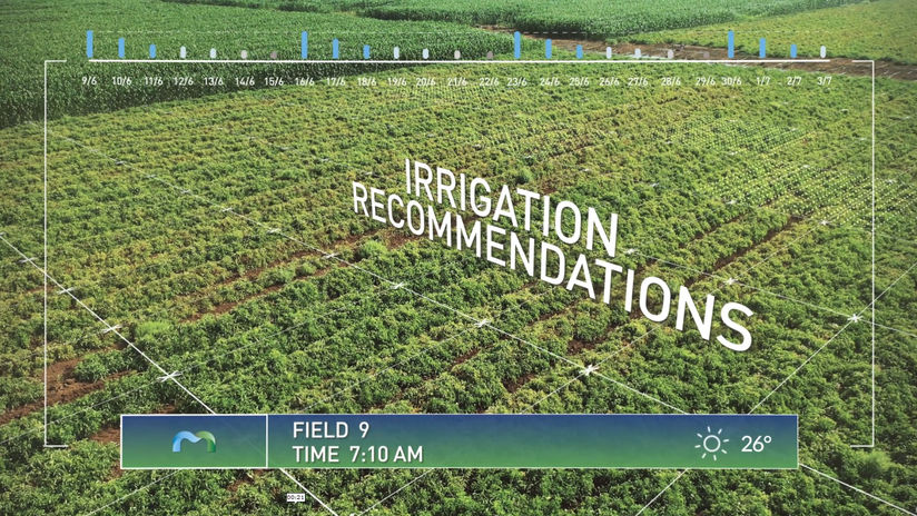 Manna Irrigation